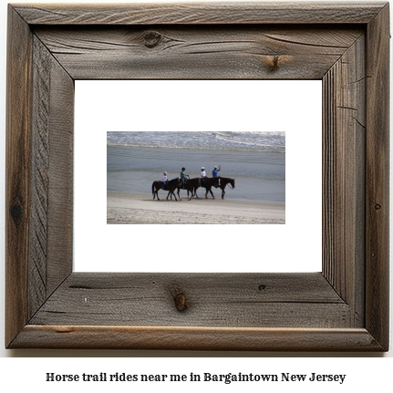 horse trail rides near me in Bargaintown, New Jersey